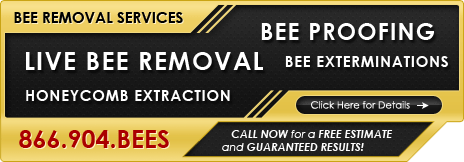 Pro Pacific Bee Removal offers the following services to get rid of bees: Live Bee Removal, Exterminations, Bee Proofing of Structures, Removal of Honeycomb and Repair of Structure, Free Estimates, and Guaranteed Results. Call 866.904.2337 Today for a Free Bee Removal Estimate!